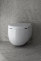 Унитаз подвесной VitrA Liquid 7321B403-0075 безободковый, с микролифтом, глянцевый белый