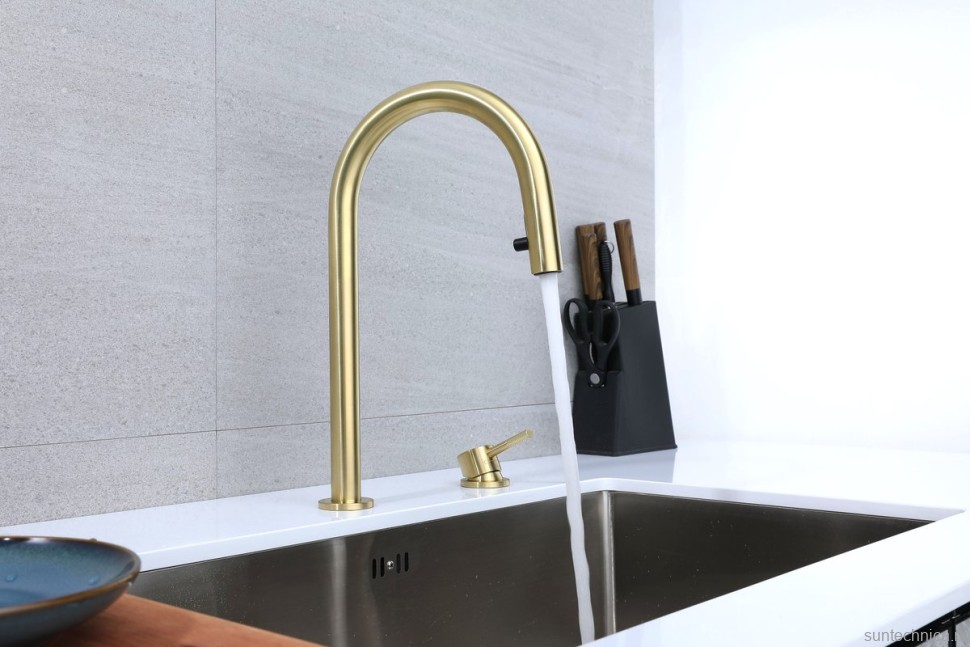 Смеситель для кухни Paulmark Estetica Es218006-LG светлое золото