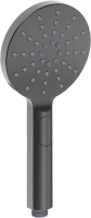 Душевая лейка Lemark LM8122GM графит