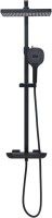 Душевая стойка Allen Brau Infinity 5.21030-31 черная
