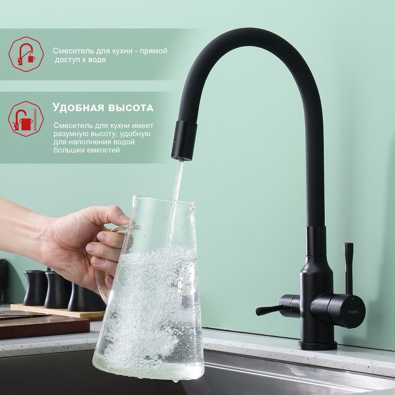 Смеситель для кухни с подключением фильтра Raglo R81.64.06, черный