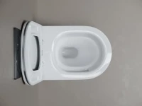 Унитаз подвесной Ceramicanova Whirl, торнадо 3.0, сиденье микролифт, белый, CN11007T Унитаз подвесной Ceramicanova Whirl, торнадо 3.0, сиденье микролифт, белый, CN11007T