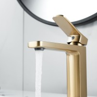 Смеситель для раковины Shevanik S9901G золотой сатин