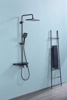 Душевая стойка Raglo R60.24.06 черный