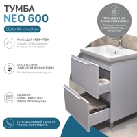 Тумба с раковиной Vigo Neo 60 напольная, 2 ящика, матовая белая