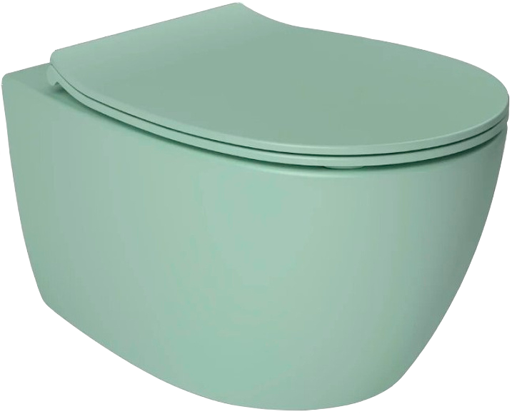 Унитаз подвесной Allen Brau Fantasy 4.11004.MT мятный