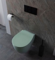 Унитаз подвесной Allen Brau Fantasy 4.11004.MT мятный