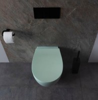 Унитаз подвесной Allen Brau Fantasy 4.11004.MT мятный