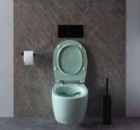 Унитаз подвесной Allen Brau Fantasy 4.11004.MT мятный