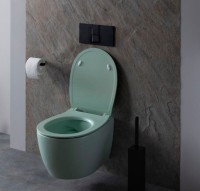 Унитаз подвесной Allen Brau Fantasy 4.11004.MT мятный