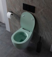 Унитаз подвесной Allen Brau Fantasy 4.11004.MT мятный