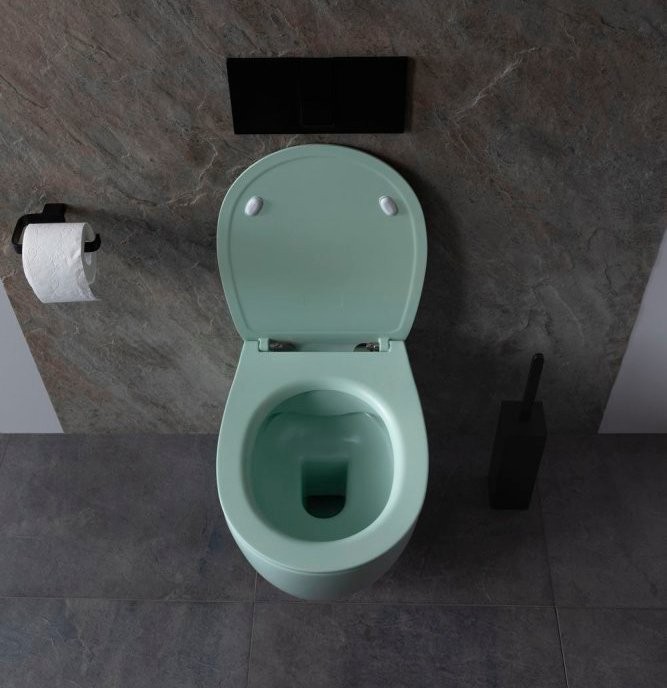 Унитаз подвесной Allen Brau Fantasy 4.11004.MT мятный