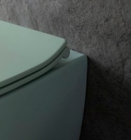 Унитаз подвесной Allen Brau Fantasy 4.11004.MT мятный