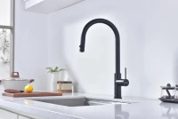 Смеситель для кухни Paulmark Galant Ga213077-AN антрацит Смеситель для кухни Paulmark Galant Ga213077-AN антрацит