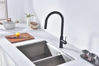 Смеситель для кухни Paulmark Galant Ga213077-AN антрацит Смеситель для кухни Paulmark Galant Ga213077-AN антрацит