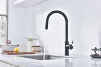 Смеситель для кухни Paulmark Galant Ga213077-AN антрацит Смеситель для кухни Paulmark Galant Ga213077-AN антрацит
