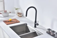 Смеситель для кухни Paulmark Galant Ga213077-AN антрацит Смеситель для кухни Paulmark Galant Ga213077-AN антрацит