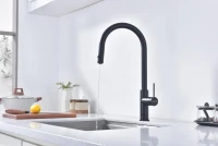 Смеситель для кухни Paulmark Galant Ga213077-AN антрацит Смеситель для кухни Paulmark Galant Ga213077-AN антрацит