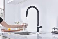 Смеситель для кухни Paulmark Galant Ga213077-AN антрацит