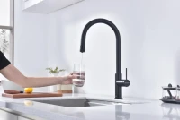 Смеситель для кухни Paulmark Galant Ga213077-AN антрацит Смеситель для кухни Paulmark Galant Ga213077-AN антрацит