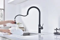 Смеситель для кухни Paulmark Galant Ga213077-AN антрацит Смеситель для кухни Paulmark Galant Ga213077-AN антрацит
