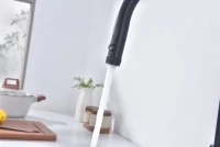 Смеситель для кухни Paulmark Galant Ga213077-AN антрацит Смеситель для кухни Paulmark Galant Ga213077-AN антрацит
