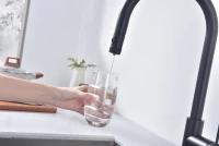 Смеситель для кухни Paulmark Galant Ga213077-AN антрацит Смеситель для кухни Paulmark Galant Ga213077-AN антрацит