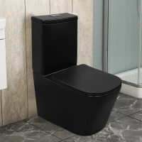 Унитаз-компакт напольный AZARIO Black King AZ-8303D матовый черный Унитаз-компакт напольный AZARIO Black King AZ-8303D матовый черный