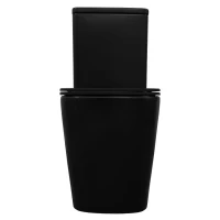 Унитаз-компакт напольный AZARIO Black King AZ-8303D матовый черный Унитаз-компакт напольный AZARIO Black King AZ-8303D матовый черный