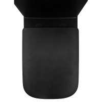 Унитаз-компакт напольный AZARIO Black King AZ-8303D матовый черный