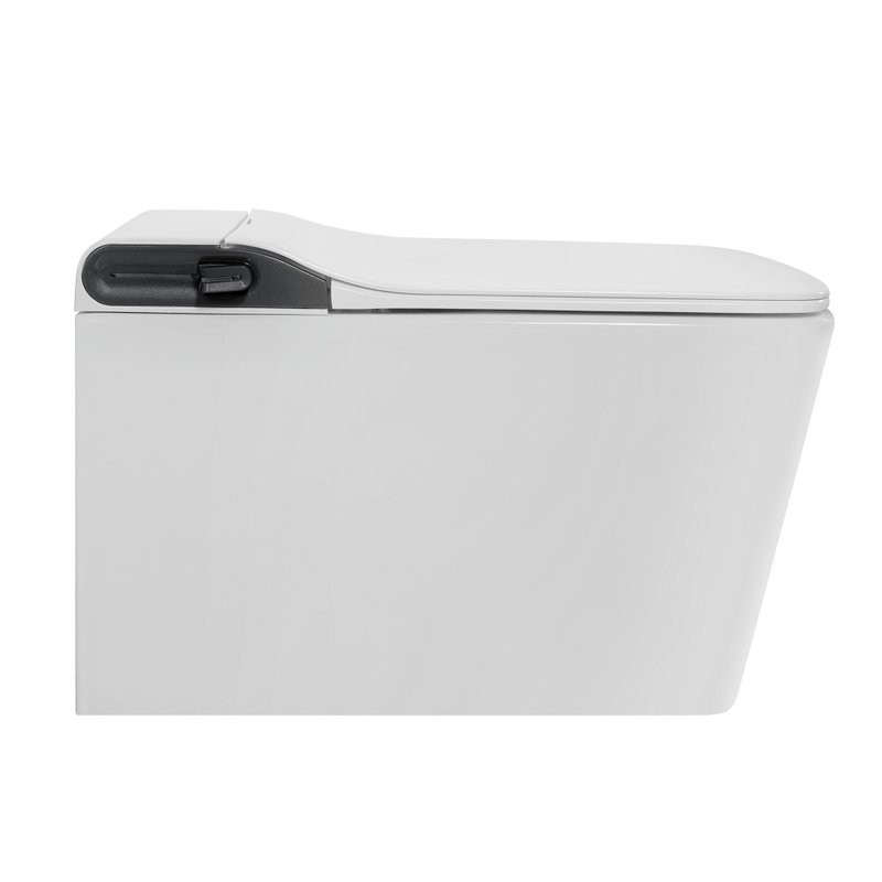 Комплект 2 в 1 Abber Rechteck AC1215S-AC0101P2 Унитаз-биде электронный, подвесной + Монтажная рама