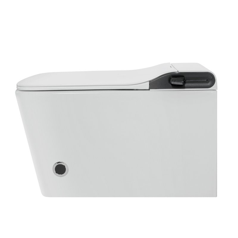 Комплект 2 в 1 Abber Rechteck AC1215S-AC0101P2 Унитаз-биде электронный, подвесной + Монтажная рама