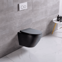 Унитаз подвесной Ceruttispa Sella Aria CT9160 безободковый, с микролифтом, черный