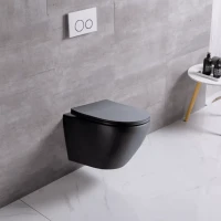 Унитаз подвесной Ceruttispa Sella Aria CT9160 безободковый, с микролифтом, черный