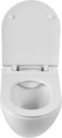Комплект Унитаз подвесной BelBagno Amanda BB051CHR безободковый + Крышка BB901SC с микролифтом + Инсталляция Geberit Duofix UP 320 111.300.00.5 + Кнопка Sigma 01 115.770.21.5 хром + Крепления 111.815.00.1 к стене + Звукоизоляция