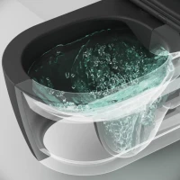 Комплект Унитаз подвесной AM.PM Func C8F1701MBSC безободковый, с микролифтом, матовый черный + Крепления Geberit Duofix 111.815.00.1 к стене + Звукоизоляция + Инсталляция UP 320 111.300.00.5 + Кнопка Sigma 01 115.770.DW.5 черная