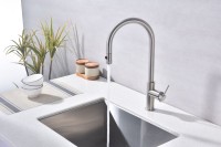 Смеситель для кухни Paulmark Galant Ga213077-BS брашированная сталь