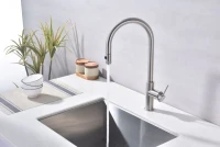 Смеситель для кухни Paulmark Galant Ga213077-BS брашированная сталь Смеситель для кухни Paulmark Galant Ga213077-BS брашированная сталь