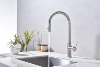 Смеситель для кухни Paulmark Galant Ga213077-BS брашированная сталь Смеситель для кухни Paulmark Galant Ga213077-BS брашированная сталь
