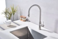 Смеситель для кухни Paulmark Galant Ga213077-BS брашированная сталь Смеситель для кухни Paulmark Galant Ga213077-BS брашированная сталь