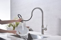 Смеситель для кухни Paulmark Galant Ga213077-BS брашированная сталь