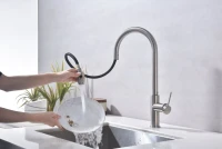 Смеситель для кухни Paulmark Galant Ga213077-BS брашированная сталь Смеситель для кухни Paulmark Galant Ga213077-BS брашированная сталь
