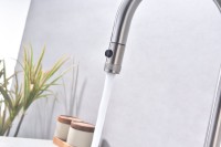 Смеситель для кухни Paulmark Galant Ga213077-BS брашированная сталь