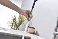 Смеситель для кухни Paulmark Galant Ga213077-BS брашированная сталь Смеситель для кухни Paulmark Galant Ga213077-BS брашированная сталь
