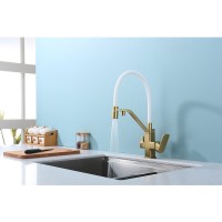 Смеситель для кухни с подключением фильтра Raglo R85.62.03, золотой сатин Смеситель для кухни с подключением фильтра Raglo R85.62.03, золотой сатин