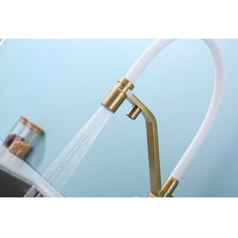 Смеситель для кухни с подключением фильтра Raglo R85.62.03, золотой сатин