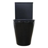 Унитаз-компакт напольный AZARIO Black Queen AZ-8380 матовый черный Унитаз-компакт напольный AZARIO Black Queen AZ-8380 матовый черный