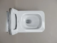 Унитаз подвесной Ceramicanova Miro, торнадо 3.0, сиденье микролифт, белый, CN11003T