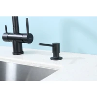 Кухонный диспенсер для моющего средства Raglo R720.01.06, черный