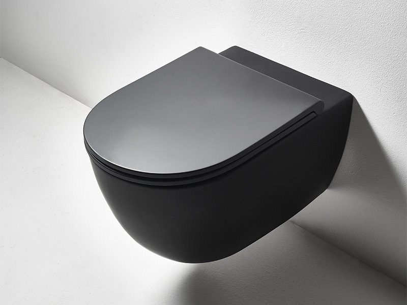 Унитаз подвесной Simas Trevi TR 18 black matt безободковый, с микролифтом, матовый черный